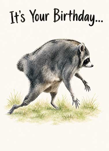 Jimothy Wild Side Funny Birthday Card  Send someone a funny personalized greeting card just in time for their birthday! | Jimothy raccoon birthday card balloon viral sensation funny wish  Take a walk on the wild side